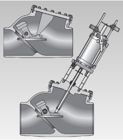 Dewrance Extraction Check Valves